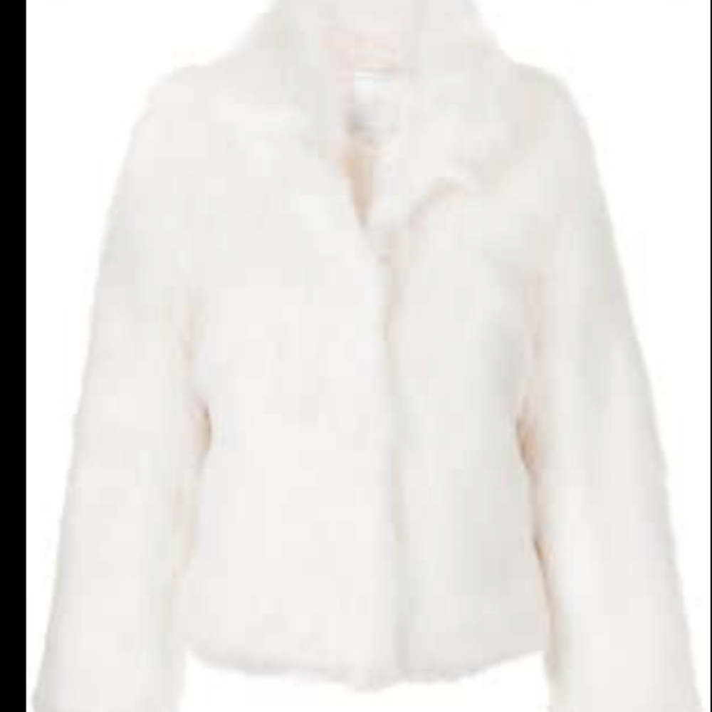 Real Rabbit Fur Coat, large